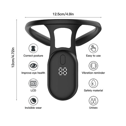 Posture Pro